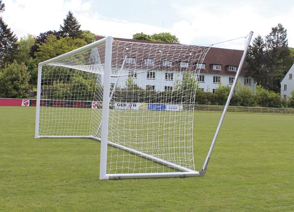 Fußballtor mit Netz auf grünem Spielfeld vor Wohnhäusern und Bäumen bei Tageslicht.