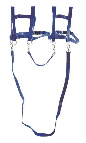Blaue Pferdeleine mit verstellbaren Riemen und Schnallen, Kinderspiel.