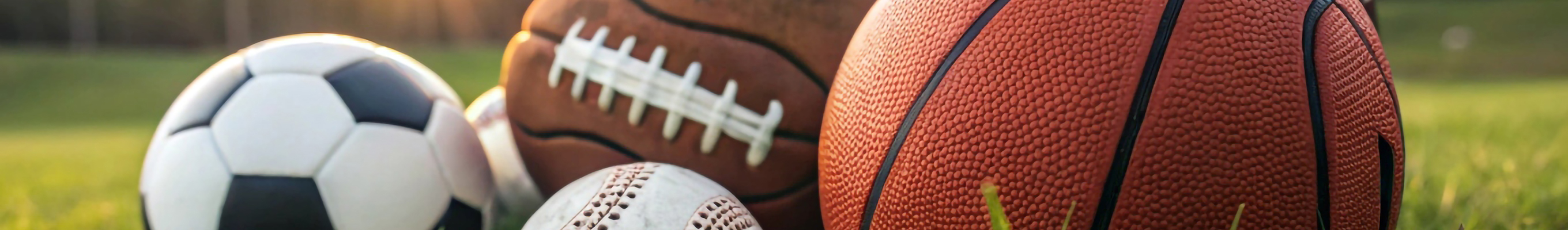 Nahaufnahme von verschiedenen Sportbällen, darunter ein Fußball, ein Basketball, und ein Volleyball, die auf dem Rasen liegen.