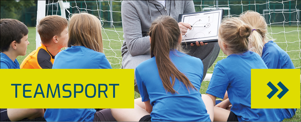 teaser_teamsport_LP_schulsport
